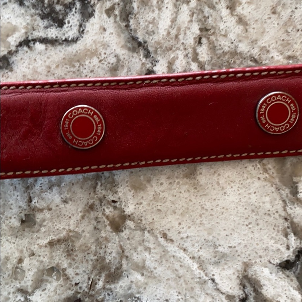 Coach dog collar